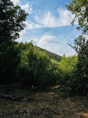 Teren 4.173 mp, front 60 m – Văliug, aproape de Lacul Gozna - imagine 18
