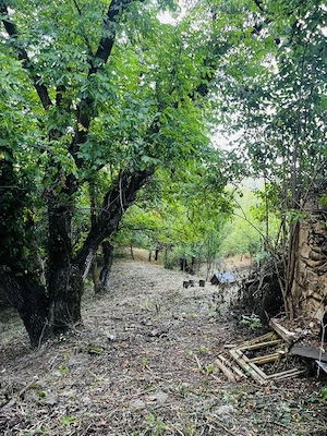 Teren 4.173 mp, front 60 m – Văliug, aproape de Lacul Gozna - imagine 16