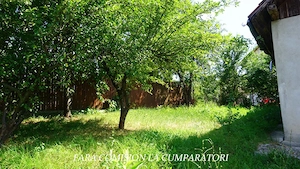 ANL- MORILOR TEREN 635 MP - imagine 8