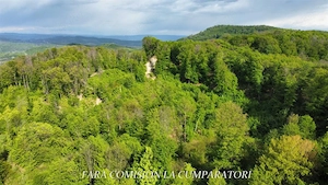 ZONA SUPERBA - TERENURI DE VANZARE - imagine 10