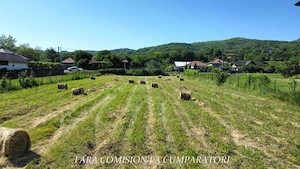 TEREN 1895 MP COPACELU - DESCHIDERE LA DN67 - imagine 6