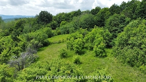 TEREN 19.822 MP CADRU NATURAL MINUNAT - imagine 8