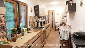OLANESTI CASA NOUA TEREN 1389 MP - imagine 9
