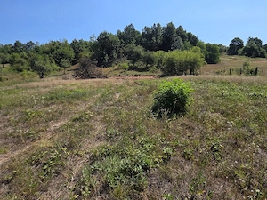 De vanzare teren intravilan 4.903 mp,sat Lunca   12 km Brad | Asfalt + autorizație construire - imagine 7