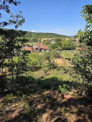 De vanzare teren intravilan 4.903 mp,sat Lunca   12 km Brad | Asfalt + autorizație construire - imagine 5