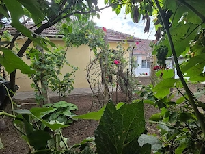 Inchiriez Casa Mosnita Noua 