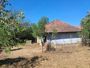 vand casa cu teren in tara beiusului - imagine 4