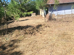 vand casa cu teren in tara beiusului - imagine 6