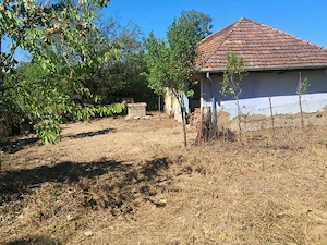 vand casa cu teren in tara beiusului - imagine 8