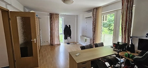 apartament 1 camera plopilor