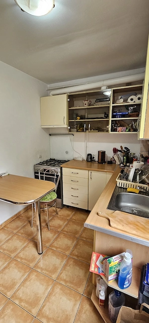 apartament 1 camera plopilor - imagine 4