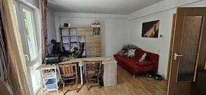 apartament 1 camera plopilor