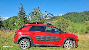 Citroen C4 Cactus - imagine 3