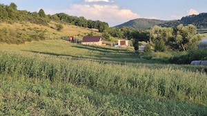 teren lac jud Bacau in rate 