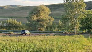 teren lac jud Bacau in rate  - imagine 5