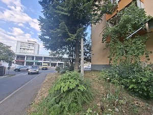 Apartament 2 camere de vanzare strada Aleea Biruintei si balcon etaj 4 Mihai Viteazul  - imagine 3