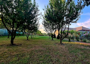 Teren intravilan 1.200+ mp | Livadă & Acces privat 7m | Sălcioara - Jurilovca