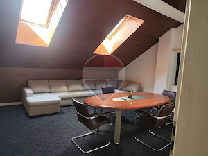 Spațiu de Birouri Premium în Herăstrău - imagine 5