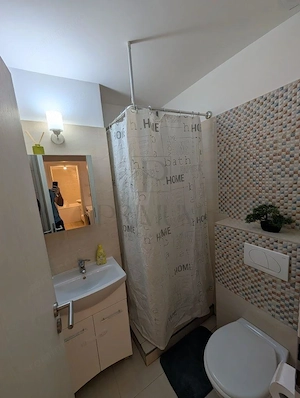 SOARELUI - PARTER - 3 CAMERE - 2 BAI - DECOMANDAT - CENTRALA PROPRIE - RENOVAT - imagine 6
