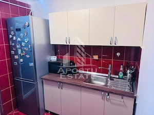 Apartament 3 Camere, Complet Renovat  Mobilat – Zona Alfa/64 mp - imagine 7