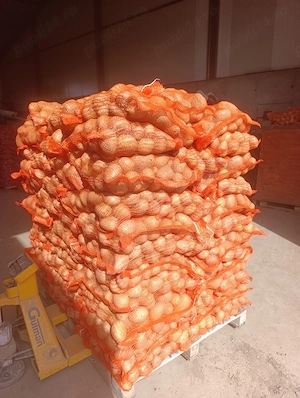 Cartofi consum calitate