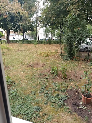 Apartament 2camere de  inchiriat - imagine 10
