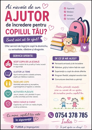 Ofer servicii ingrijire copii