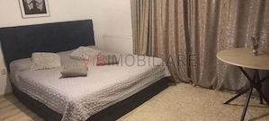 Apartament 1 cameră, mobilat și utilat –  Calea Urseni - imagine 3