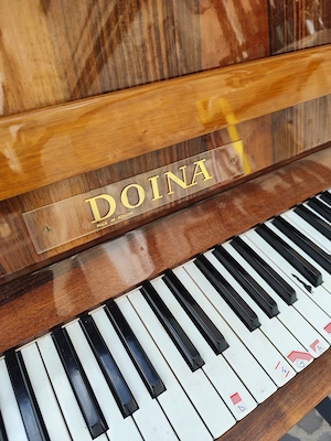 Pian Doina Bronz vand