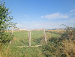 Vand   teren in Bucov - imagine 4