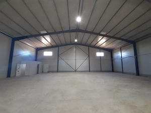 Hale de vanzare in Afumati - imagine 2
