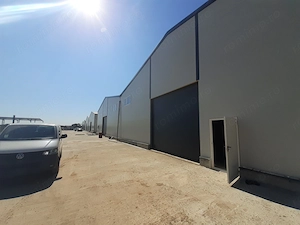 Hale de vanzare in Afumati - imagine 11