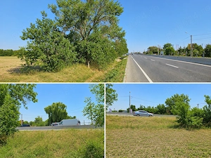 Teren intravilan 5.000 MP   Front DN5 + ACCES PE TOATĂ LUNGIMEA