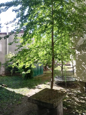 Apt. 2 camere, Bulevard Republicii-Democratiei-Anul 1848, Parter, curte interioara, pret 2000 lei - imagine 10