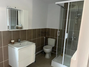 Casa renovata cu teren si anexe in Birtin - imagine 7