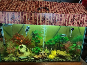 De vânzare acvariu de 220 litri.