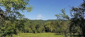 Teren intravilan Provița  de Jos ( lângă Breaza)