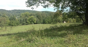 Teren intravilan Provița  de Jos ( lângă Breaza) - imagine 5