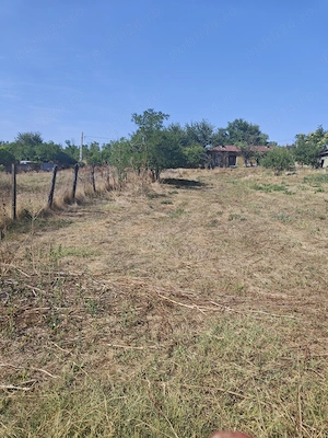 Teren 2.300 mp pe malul bălții + casă | Răsmirești, Teleorman | Dublă deschidere, curent, puț, acte  - imagine 4
