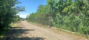 Săbăreni, lot de casă 1050 mp, curent lângă teren - imagine 4