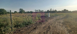 Săbăreni, lot de casă 1050 mp, curent lângă teren - imagine 3