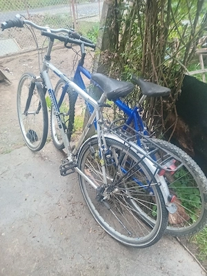 Biciclete 