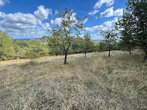 Proprietar - Vând teren 6.107 mp Vălenii de Munte - deschidere 20.8m