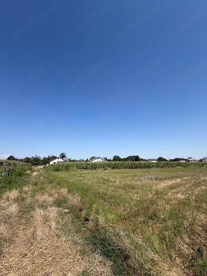 Teren intravilan ed vanzare Floresti-Stoenesti, Giurgiu [ 9.400 MP ] - imagine 3