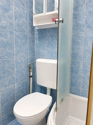 GARSONIERA de vanzare in zona Rulmentul - imagine 8