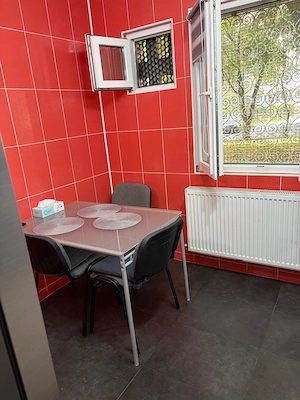 Vand apartament 3 camere (proprietar), parter, confort 1, 2 locuri de parcare, mobilat si utilat - imagine 8