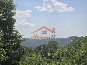 Vila de vanzare in Cornu ( Cornu de Sus) - teren 3300 mp - imagine 17