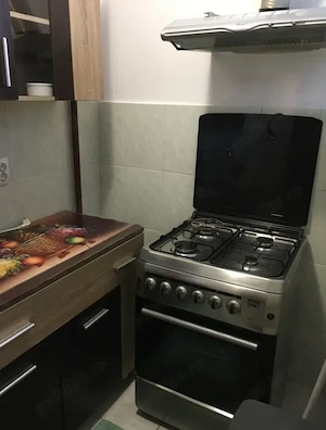 Apartament cu 1 camera in Tatarasi-Flora,la bulevard - imagine 7