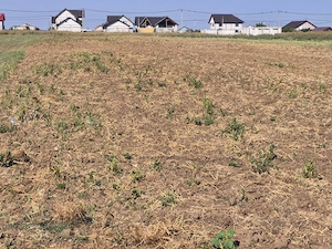 Teren intravilan 5.000 mp în Caracal   acces din două străzi   utilități - imagine 4
