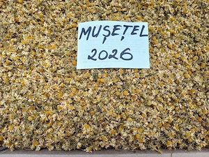 Vând mușețel soc mentă salcâm tei gălbenele cimbrișor cicoare coada șoricelului 